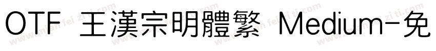 OTF 王漢宗明體繁 Medium字体转换